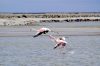 tourisme camping camargue